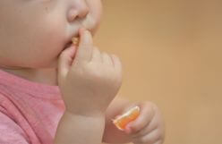 みかんを食べる子供の写真