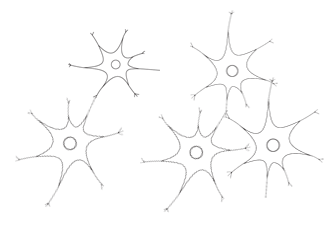 細胞ネットワークのイメージ図